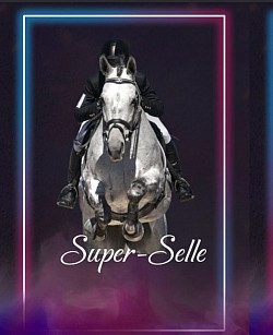 Super-Selle (UK selle team)   [Scrollable layout]