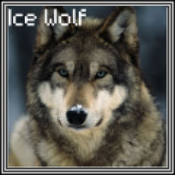 Ice Wolf (UK server player avatar)